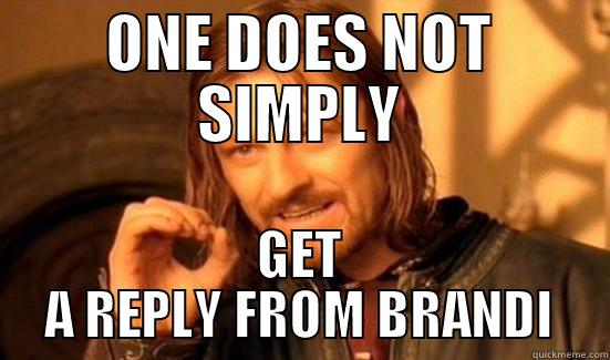 ONE DOES NOT SIMPLY GET A REPLY FROM BRANDI Boromir