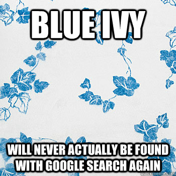 Blue Ivy will never actually be found with Google search again - Blue Ivy will never actually be found with Google search again  blue ivy