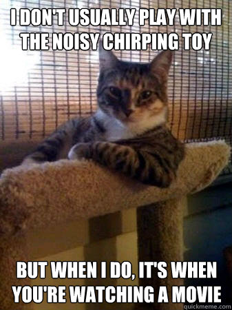 I don't usually play with the noisy chirping toy but when I do, it's when you're watching a movie   The Most Interesting Cat in the World