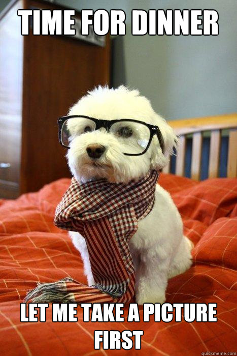 time for dinner let me take a picture first  Hipster Dog