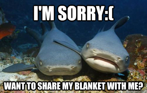 I'm sorry:( Want to share my blanket with me?  Compassionate Shark Friend