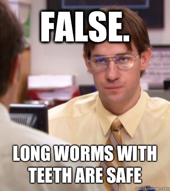 False. Long worms with teeth are safe - False. Long worms with teeth are safe  Jim as dwight