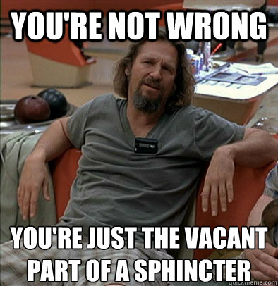 you're not wrong  you're just the vacant part of a sphincter - you're not wrong  you're just the vacant part of a sphincter  The Dude