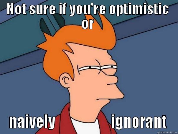 NOT SURE IF YOU'RE OPTIMISTIC OR NAIVELY                     IGNORANT Futurama Fry