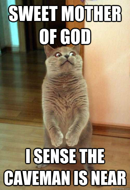 SWEET MOTHER OF GOD I SENSE THE CAVEMAN IS NEAR  Horrorcat