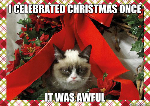 I celebrated Christmas once It was awful  A Grumpy Cat Christmas