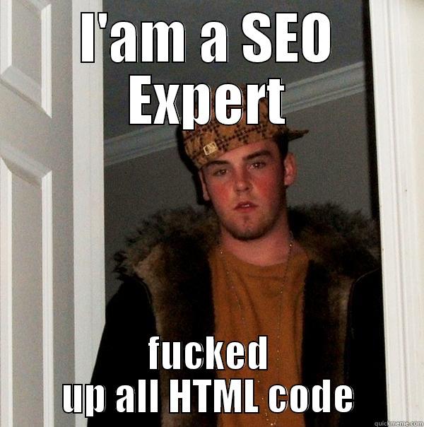 I'AM A SEO EXPERT FUCKED UP ALL HTML CODE Scumbag Steve