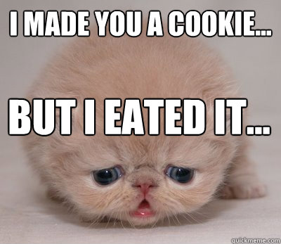 i made you a cookie... but i eated it... - i made you a cookie... but i eated it...  eated cookie cat