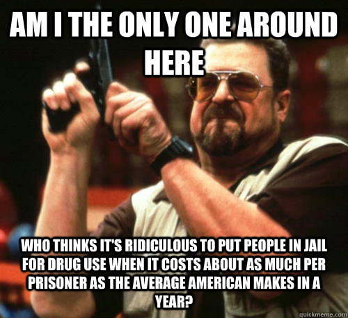 Am i the only one around here Who thinks it's ridiculous to put people in jail for drug use when it costs about as much per prisoner as the average American makes in a year?  Am I The Only One Around Here