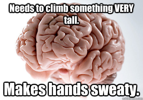 Needs to climb something VERY tall. Makes hands sweaty.  Scumbag Brain