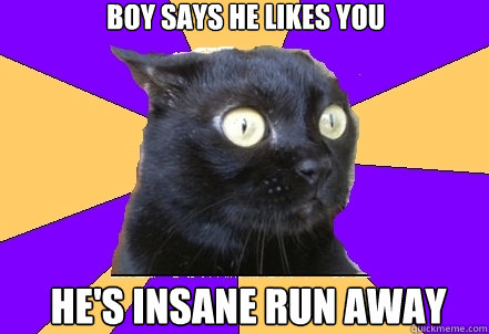 boy says he likes you  he's insane run away  Anxiety Cat