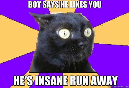 boy says he likes you  he's insane run away - boy says he likes you  he's insane run away  Anxiety Cat