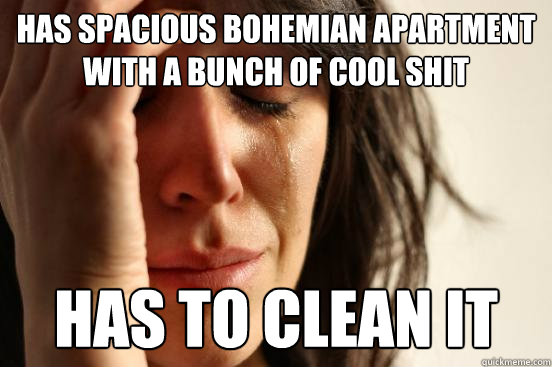 Has spacious bohemian apartment with a bunch of cool shit has to clean it  First World Problems