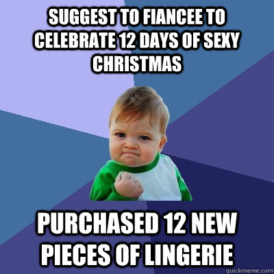 Suggest to fiancee to celebrate 12 days of sexy Christmas Purchased 12 new pieces of lingerie  Success Kid