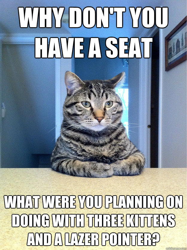 Why don't you have a seat What were you planning on doing with three kittens and a lazer pointer? - Why don't you have a seat What were you planning on doing with three kittens and a lazer pointer?  Chris Hansen Cat