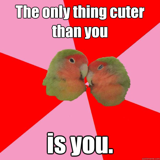 The only thing cuter than you is you.  Annoying Lovebirds