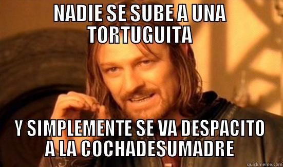 NADIE SE SUBE A UNA TORTUGUITA Y SIMPLEMENTE SE VA DESPACITO A LA COCHADESUMADRE Boromir