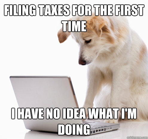 filing taxes for the first time i have no idea what i'm doing  