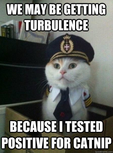 We may be getting turbulence because I tested positive for catnip  Captain kitteh