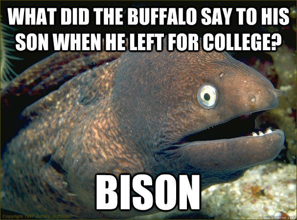 What did the buffalo say to his son when he left for college? Bison - What did the buffalo say to his son when he left for college? Bison  Bad Joke Eel