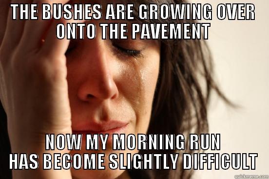 THE BUSHES ARE GROWING OVER ONTO THE PAVEMENT NOW MY MORNING RUN HAS BECOME SLIGHTLY DIFFICULT First World Problems