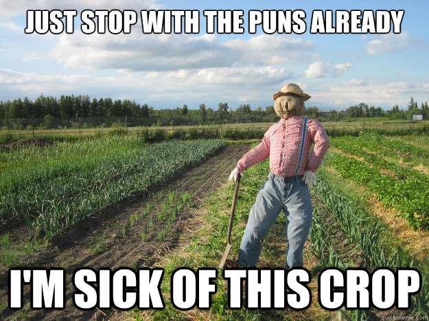 just stop with the puns already I'm sick of this crop  Scarecrow