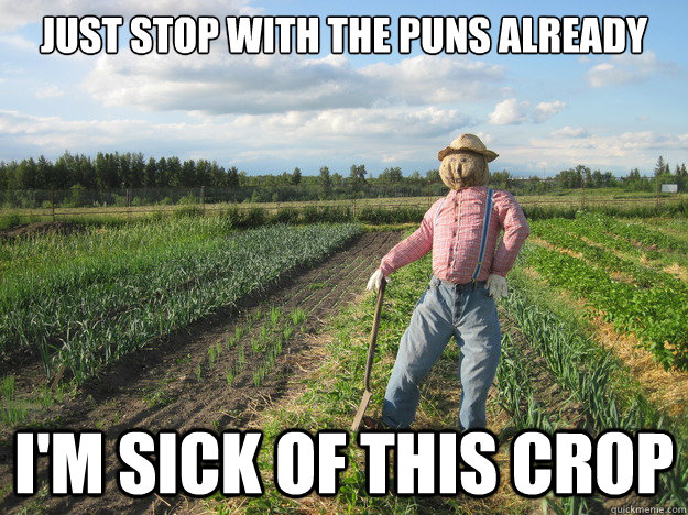 just stop with the puns already I'm sick of this crop  Scarecrow