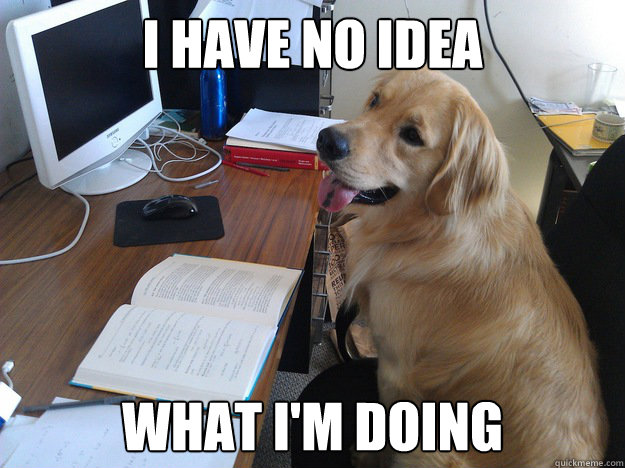 I have no idea what i'm doing  Mathematician Dog