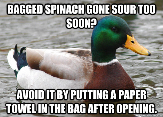 Bagged Spinach gone sour too soon? Avoid it by putting a paper towel in the bag after opening.  Actual Advice Mallard