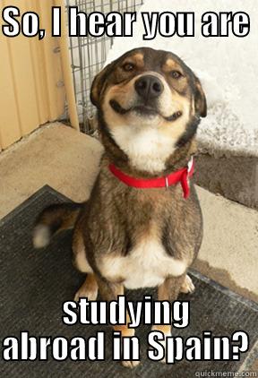 SO, I HEAR YOU ARE  STUDYING ABROAD IN SPAIN? Good Dog Greg