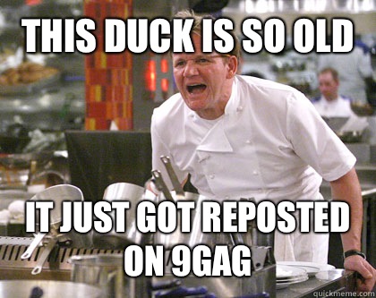 This duck is so old It just got reposted on 9gag  Ramsay Gordon Yelling