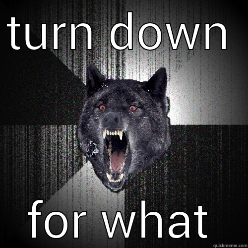 TURN DOWN FOR WHAT Insanity Wolf