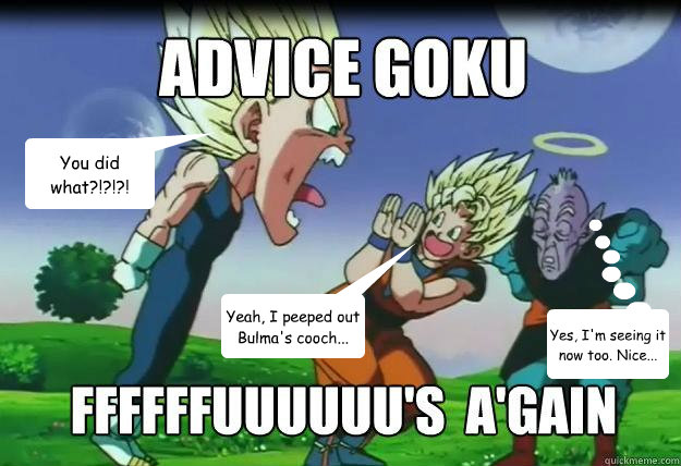 You did what?!?!?! Yeah, I peeped out Bulma's cooch... Yes, I'm seeing it now too. Nice...  Goku