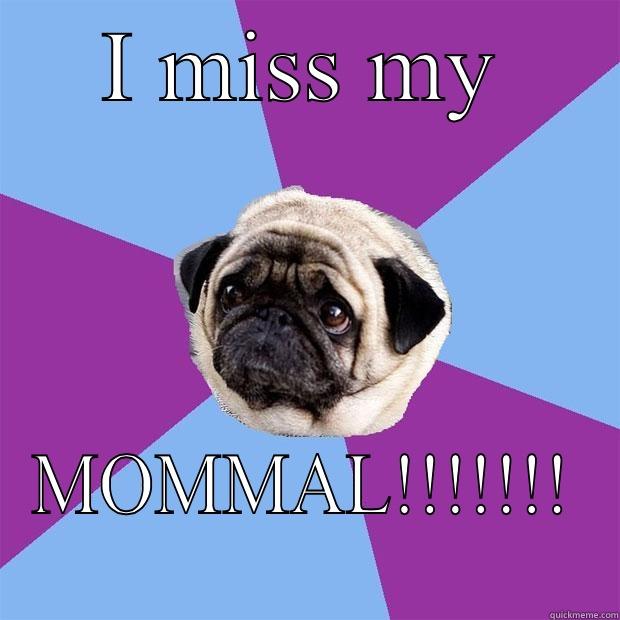 I MISS MY MOMMAL!!!!!!! Lonely Pug