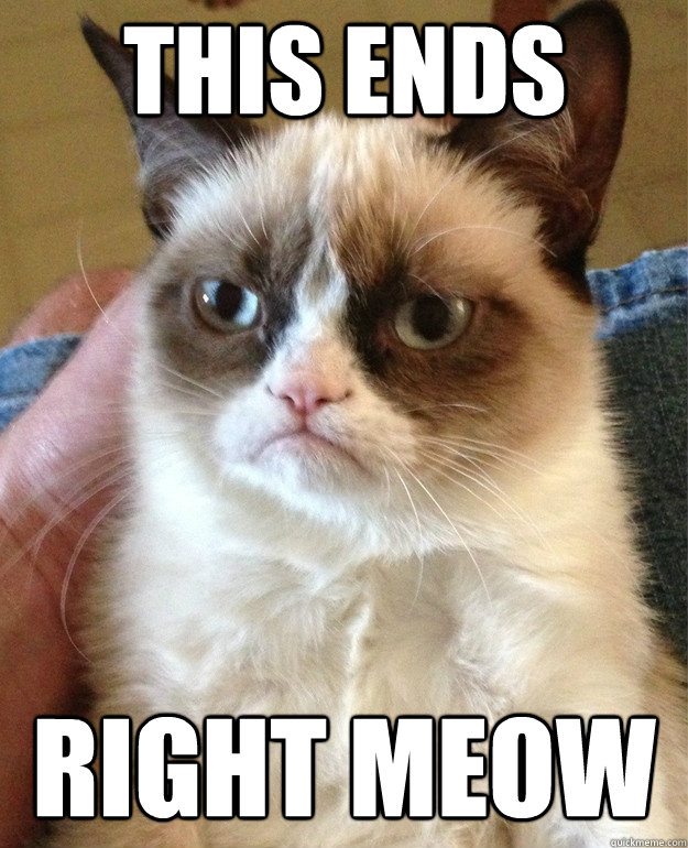This ends right meow
  Grumpy Cat