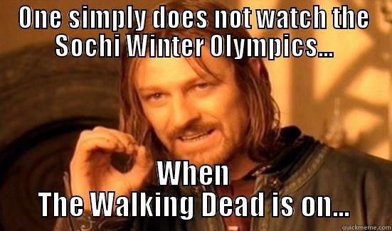 ONE SIMPLY DOES NOT WATCH THE SOCHI WINTER OLYMPICS... WHEN THE WALKING DEAD IS ON... Boromir