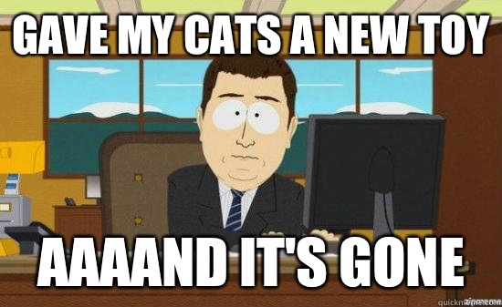 Gave my cats a new toy AAAAND It's gone  aaaand its gone