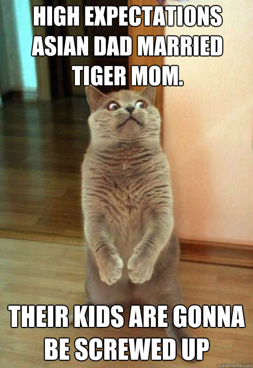 high expectations asian dad married tiger mom. their kids are gonna be screwed up  Horrorcat
