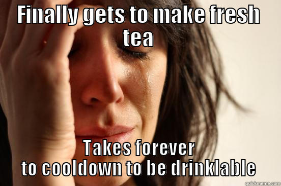 FINALLY GETS TO MAKE FRESH TEA TAKES FOREVER TO COOLDOWN TO BE DRINKLABLE First World Problems