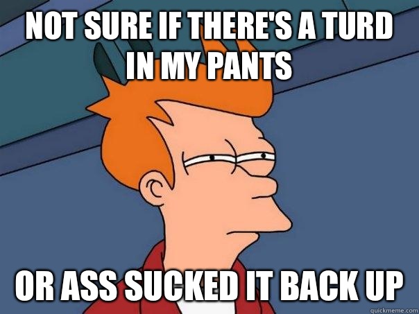 Not sure if there's a turd in my pants Or ass sucked it back up  Futurama Fry