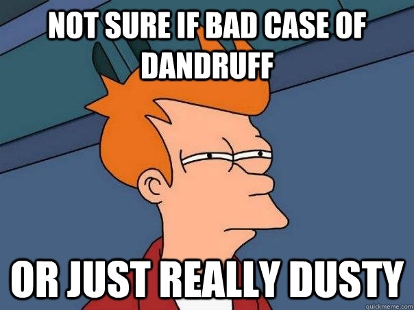 not sure if bad case of dandruff or just really dusty  Futurama Fry