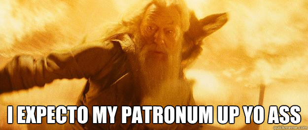 I EXPECTO MY PATRONUM UP YO ASS  Dumbledore