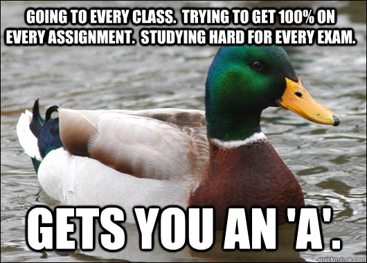 Going to every class.  Trying to get 100% on every assignment.  Studying hard for every Exam. Gets you an 'A'.  Actual Advice Mallard