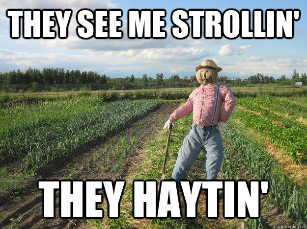 they see me strollin' they haytin' - they see me strollin' they haytin'  Scarecrow