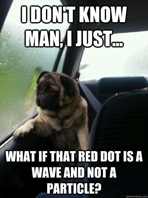 I don't know man, I just... what if that red dot is a wave and not a particle?  Introspective Pug