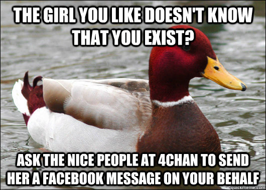 the girl you like doesn't know that you exist? Ask the nice people at 4chan to send her a facebook message on your behalf   Malicious Advice Mallard