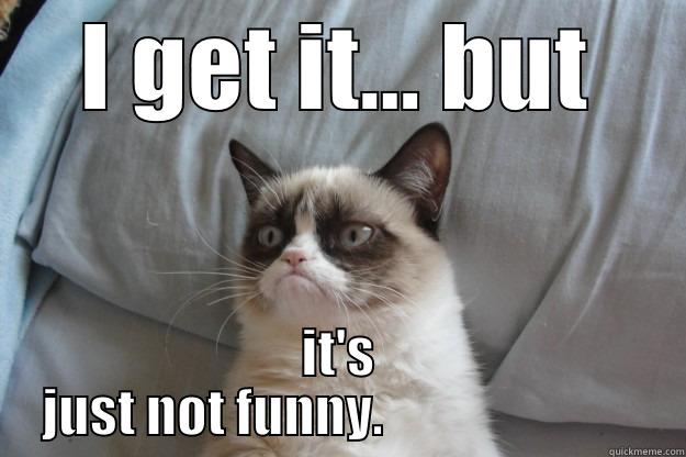 I GET IT... BUT IT'S JUST NOT FUNNY.                         Grumpy Cat