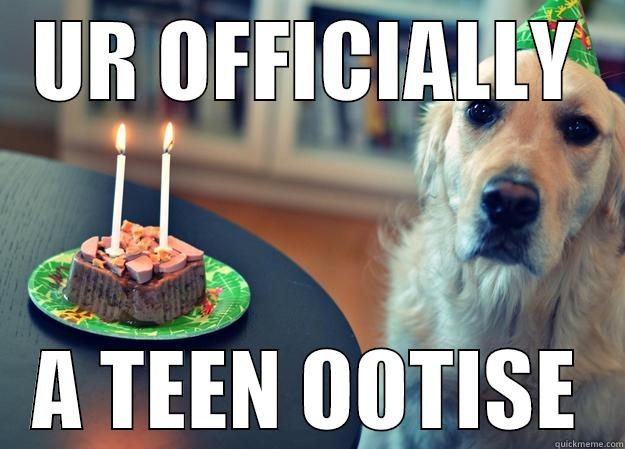 HAPPY BIRFDAY OOTISE - UR OFFICIALLY A TEEN OOTISE Sad Birthday Dog
