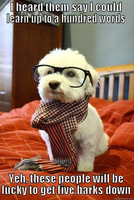 Smarter than people - I HEARD THEM SAY I COULD LEARN UP TO A HUNDRED WORDS YEH, THESE PEOPLE WILL BE LUCKY TO GET FIVE BARKS DOWN Hipster Dog