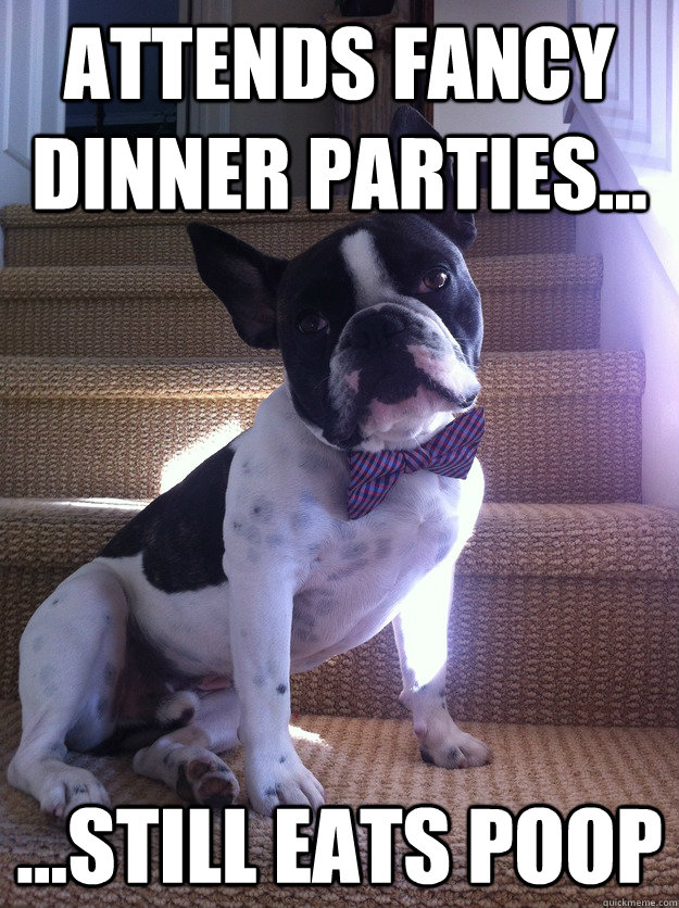 Attends Fancy Dinner Parties... ...Still Eats Poop - Attends Fancy Dinner Parties... ...Still Eats Poop  Misc